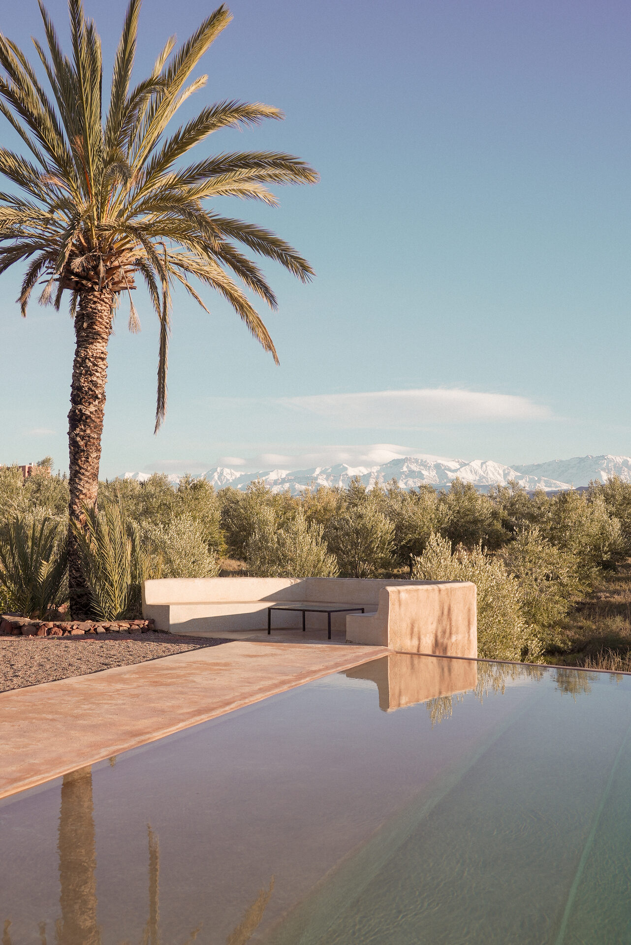 Piscine à débordement, palmier et montagnes de l'Atlas